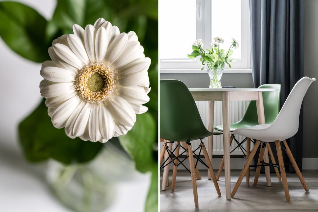 Sanhaus Apartments - Chopina 13 - Apartamenty W Centrum, 5 Minut Od Plazy I Deptaka Sopot Buitenkant foto